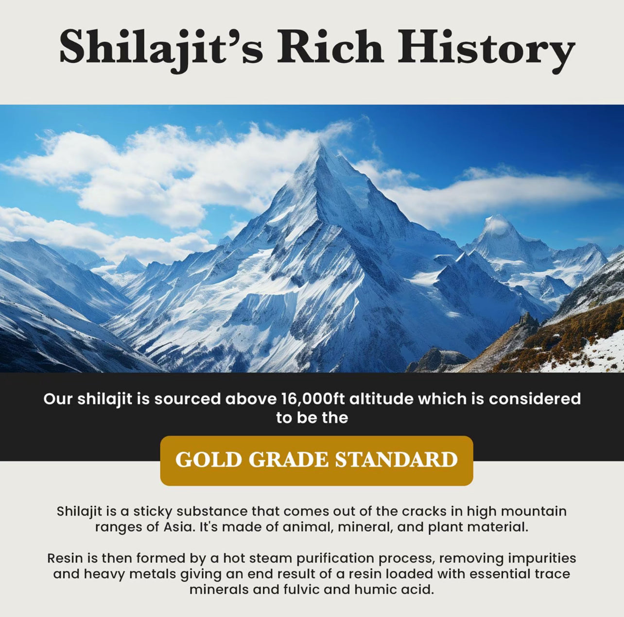ShilaBites™ Himalayan Shilajit Gummies